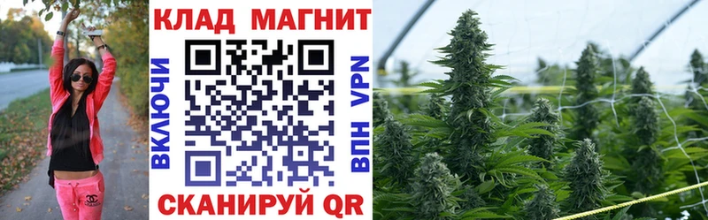 Псилоцибиновые грибы Западная Двина
