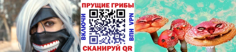 hydra рабочий сайт Западная Двина Галлюциногенные грибы Cubensis